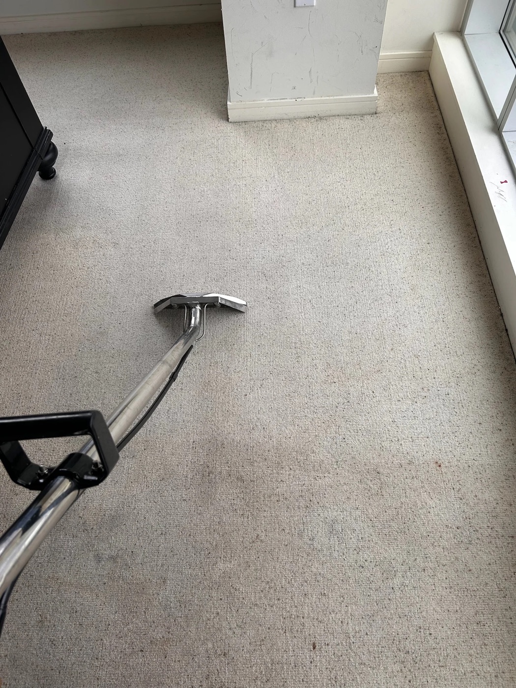 Professional hot water extraction wand deep cleaning a carpet